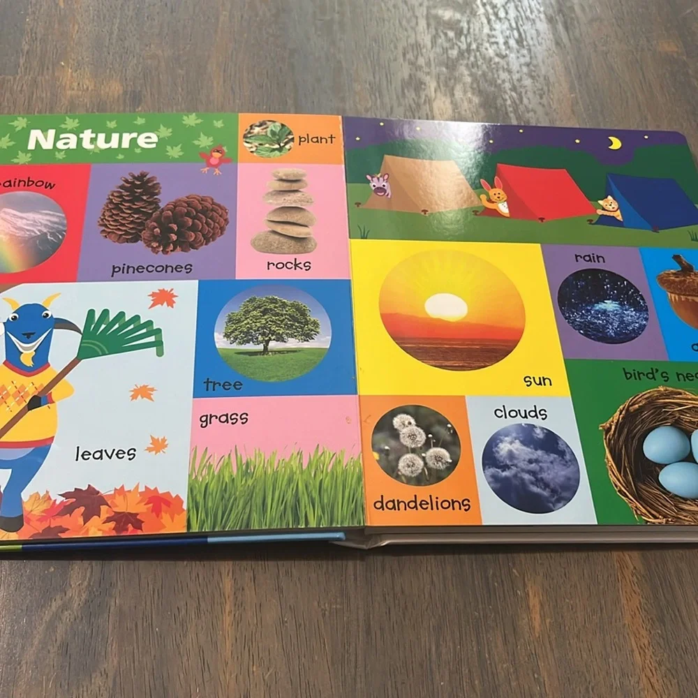 BABY EINSTEIN First Words Book BOARD BOOKS SET PUFFY COVER LARGE LEARNING #63